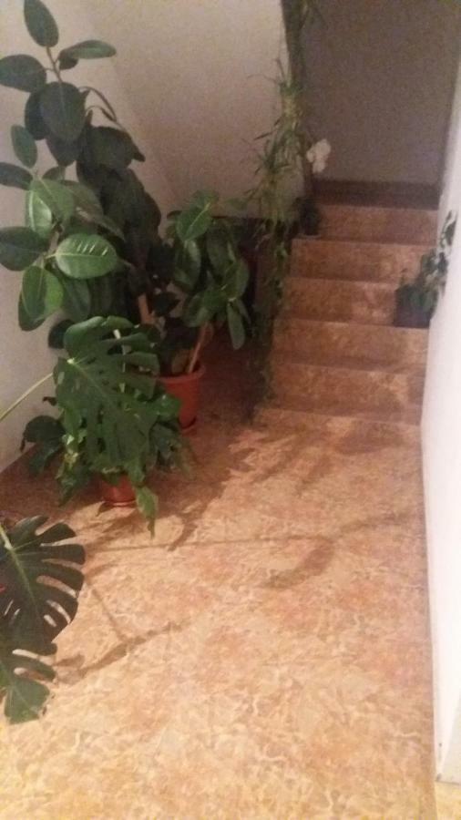Matisesti Pensiunea Miesca المظهر الخارجي الصورة